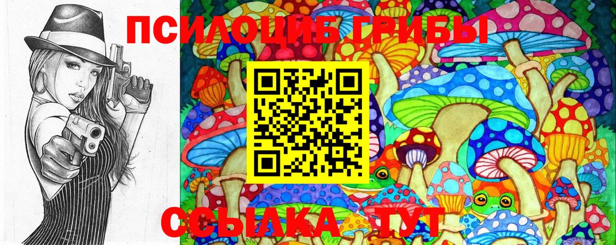 Псилоцибиновые грибы Psilocybe Морозовск